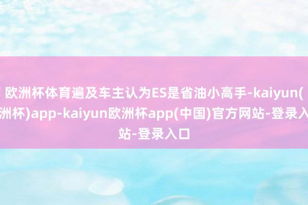 欧洲杯体育遍及车主认为ES是省油小高手-kaiyun(欧洲杯)app-kaiyun欧洲杯app(中国)官方网站-登录入口