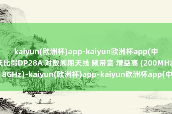 kaiyun(欧洲杯)app-kaiyun欧洲杯app(中国)官方网站-登录入口沃比得DP28A 对数周期天线 频带宽 增益高 (200MHz～8GHz)-kaiyun(欧洲杯)app-kaiyun欧洲杯app(中国)官方网站-登录入口