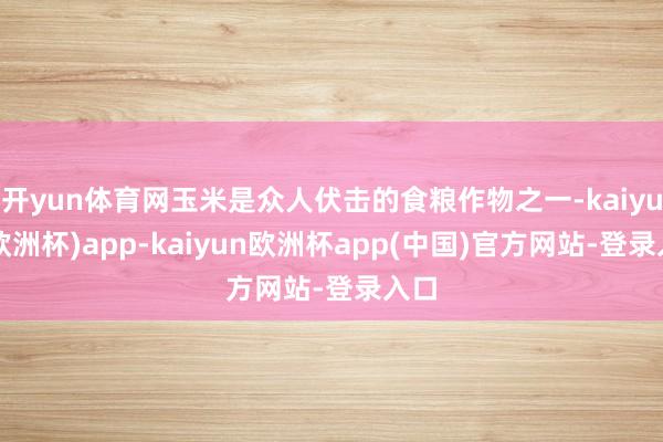 开yun体育网玉米是众人伏击的食粮作物之一-kaiyun(欧洲杯)app-kaiyun欧洲杯app(中国)官方网站-登录入口