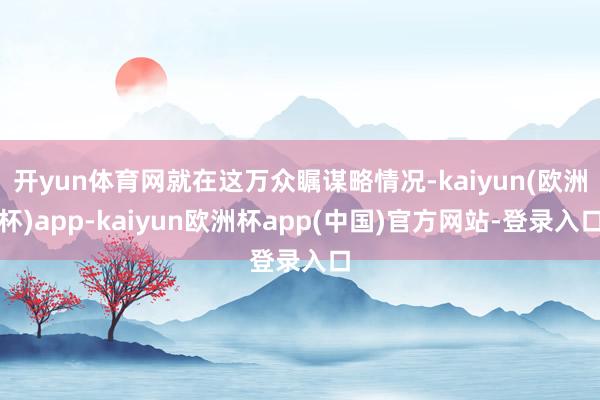 开yun体育网就在这万众瞩谋略情况-kaiyun(欧洲杯)app-kaiyun欧洲杯app(中国)官方网站-登录入口