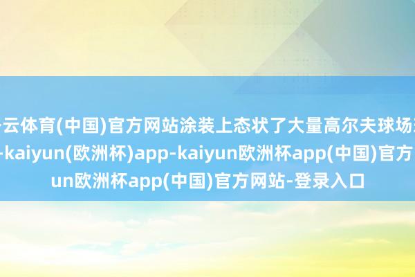 开云体育(中国)官方网站涂装上态状了大量高尔夫球场球说念的地形图-kaiyun(欧洲杯)app-kaiyun欧洲杯app(中国)官方网站-登录入口