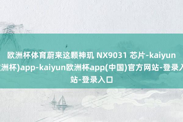 欧洲杯体育蔚来这颗神玑 NX9031 芯片-kaiyun(欧洲杯)app-kaiyun欧洲杯app(中国)官方网站-登录入口