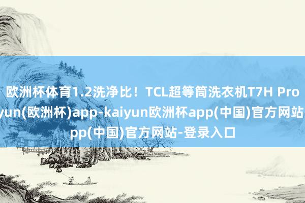 欧洲杯体育1.2洗净比！TCL超等筒洗衣机T7H Pro图赏-kaiyun(欧洲杯)app-kaiyun欧洲杯app(中国)官方网站-登录入口