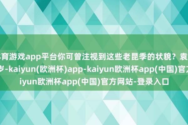 体育游戏app平台你可曾注视到这些老昆季的状貌？袁和平比吴彬小了8岁-kaiyun(欧洲杯)app-kaiyun欧洲杯app(中国)官方网站-登录入口