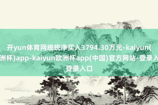 开yun体育网统统净买入3794.30万元-kaiyun(欧洲杯)app-kaiyun欧洲杯app(中国)官方网站-登录入口